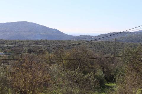 Apartamento T4 com exposição solar a sul e vistas de campo e mar, em S. Brás de Alportel