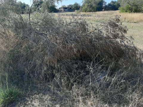 Terreno em Olhão, Moncarapacho