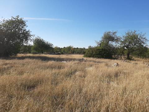 Terreno em Olhão, Moncarapacho