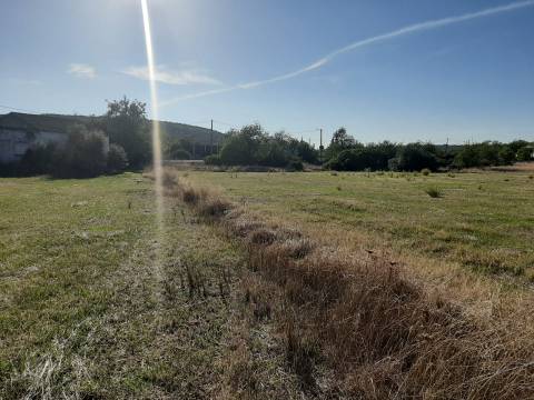 Terreno em Olhão, Moncarapacho
