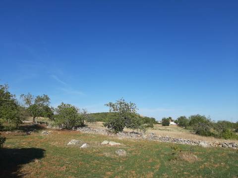 Terreno em Olhão, Moncarapacho