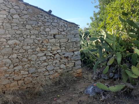 Terreno em Olhão, Moncarapacho