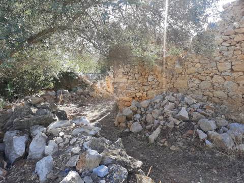 Terreno em Olhão, Moncarapacho