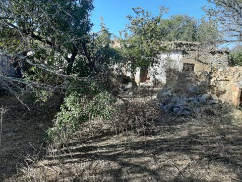 Terreno em Olhão, Moncarapacho
