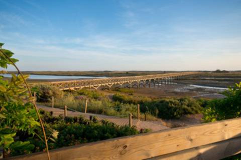 Lote para construção frente golfe no Pestana Silves Golfe Resort