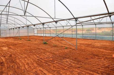 Quinta com produção agrícola ativa e projeto de turismo rural