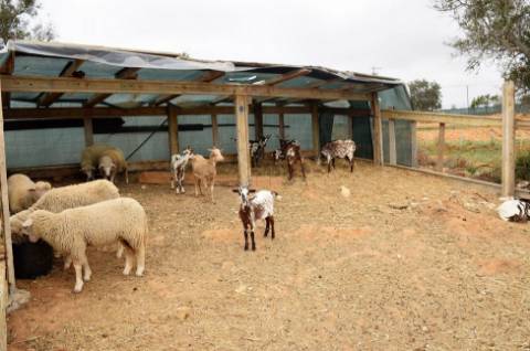 Quinta com produção agrícola ativa e projeto de turismo rural
