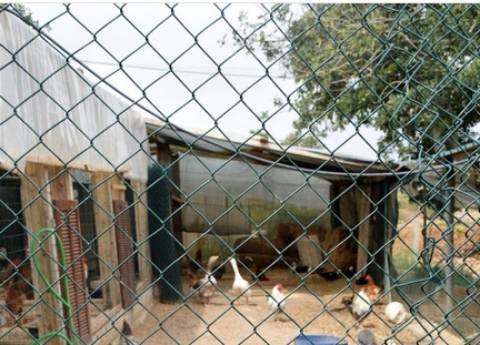 Quinta com produção agrícola ativa e projeto de turismo rural