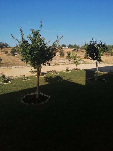 Quinta com produção agrícola ativa e projeto de turismo rural