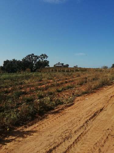 Quinta com produção agrícola ativa e projeto de turismo rural