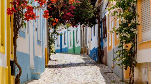 Terreno com projeto para construção de 80 apartamentos - Olhão, Algarve