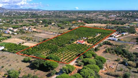 Terreno com projeto aprovado em Quarteira