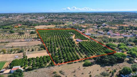 Terreno com projeto aprovado em Quarteira