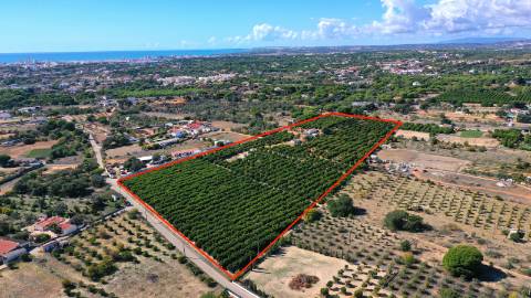 Terreno com projeto aprovado em Quarteira