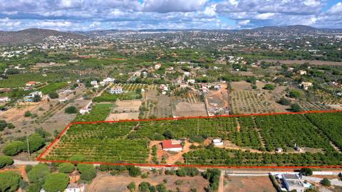 Terreno com projeto aprovado em Quarteira