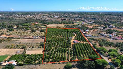 Terreno com projeto aprovado em Quarteira