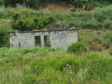 Ruína com construção até 700m2!