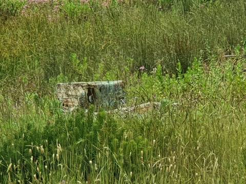 Ruína com construção até 700m2!