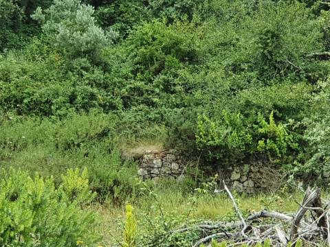 Ruína com construção até 700m2!