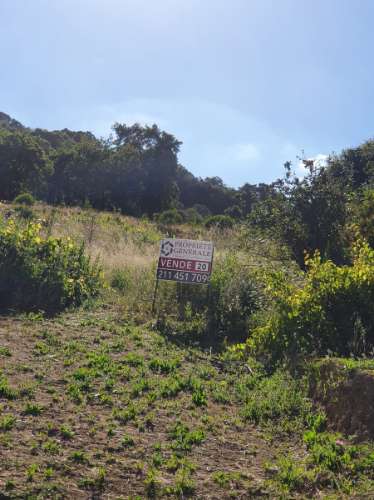 Ruína com construção até 700m2!