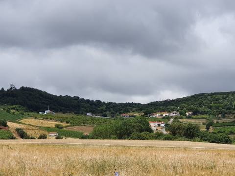 Ruína com construção até 700m2!