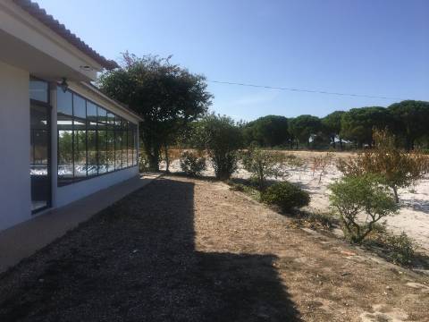 Quinta com piscina em Torrao 15 hectares