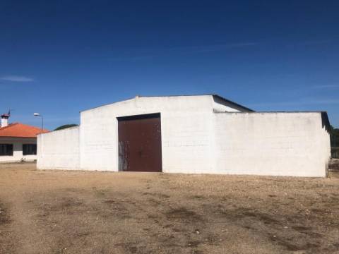 Quinta com piscina em Torrao 15 hectares