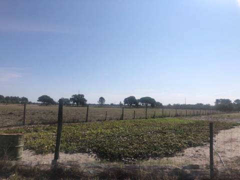 Quinta com piscina em Torrao 15 hectares