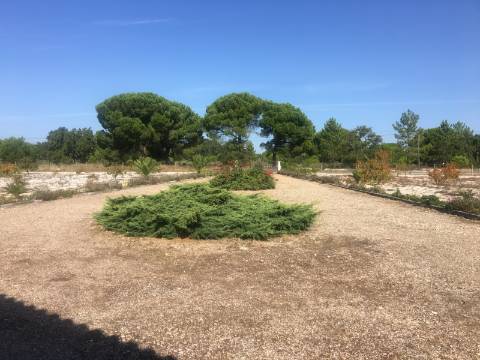 Quinta com piscina em Torrao 15 hectares