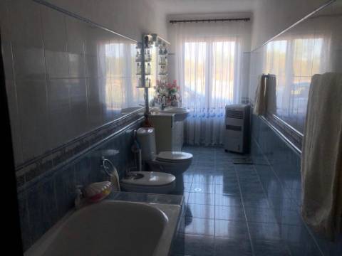 Quinta com piscina em Torrao 15 hectares