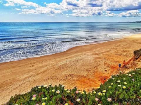 Apartamento T2 no Pine Sun Park , Albufeira