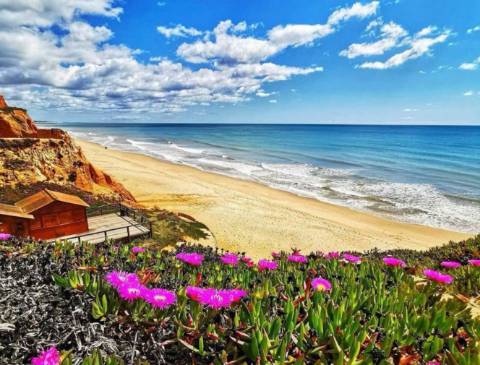 Apartamento T2 no Pine Sun Park , Albufeira