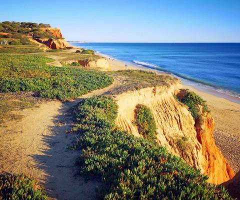 Apartamento T2 no Pine Sun Park , Albufeira