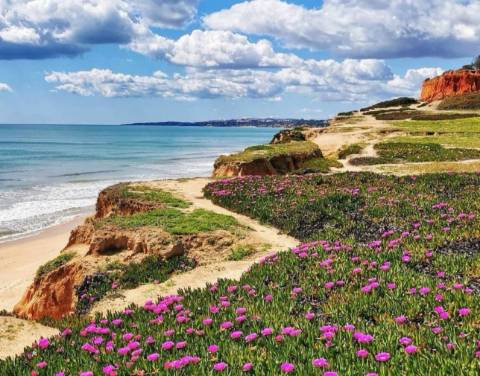 Apartamento T2 no Pine Sun Park , Albufeira