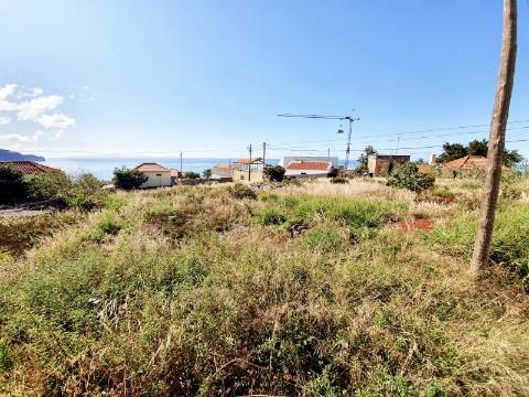 Terreno Urbano em São Martinho