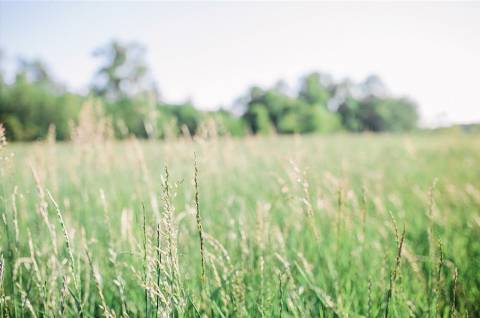 Terreno para Construção de Moradia em Varandas do Lago