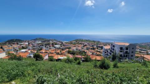 Terreno no Pico das Romeiras em Santo António - Funchal