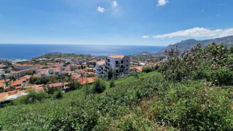 Terreno no Pico das Romeiras em Santo António - Funchal