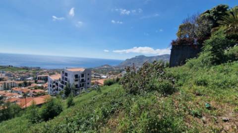 Terreno no Pico das Romeiras em Santo António - Funchal