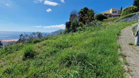 Terreno no Pico das Romeiras em Santo António - Funchal