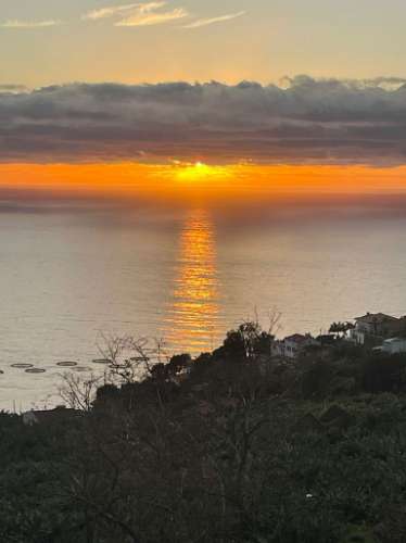 Moradia Isolada T3 com Terreno no Arco da Calheta