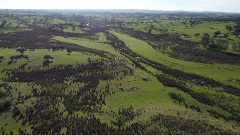 Terreno Rústico em Ourique