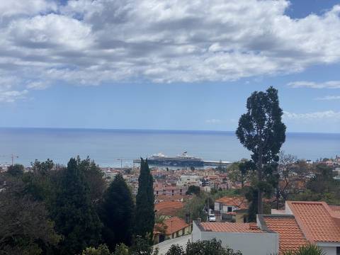 Quinta Térrea no Funchal