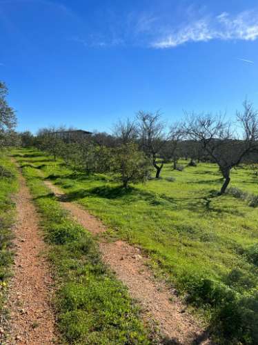 Quinta com ruína para recuperar em Albufeira