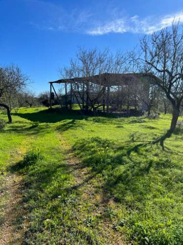 Quinta com ruína para recuperar em Albufeira