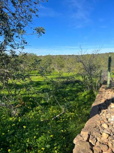 Magnífica propriedade para investimento em Albufeira