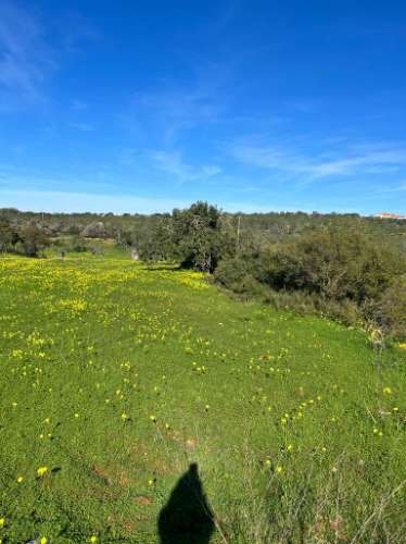 Magnífica propriedade para investimento em Albufeira