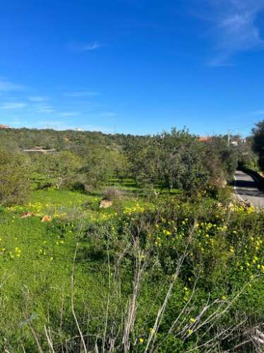 Magnífica propriedade para investimento em Albufeira