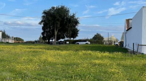 Terreno em Vale da Vila - Setúbal