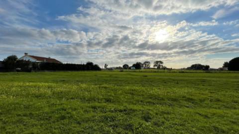 Terreno em Vale da Vila - Setúbal